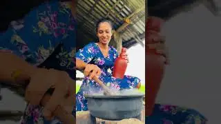 Village Style Wild Pork Meat With Roti | From Paddy Field - KBG 🌾