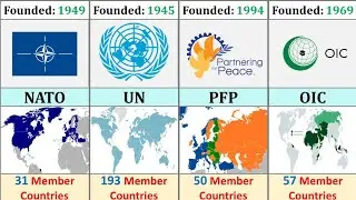Most Popular Alliances Around The World | Top Global Alliances Comparison Part 1