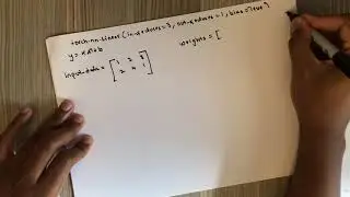 torch.nn.Linear Module explained