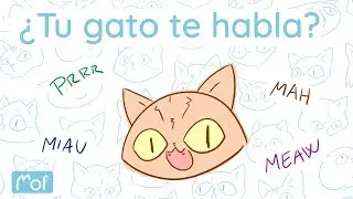 ¿Tu gato te habla? | Mof