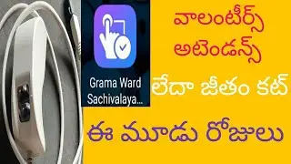 వాలంటీర్స్ బిఓమెట్రిక్ అటెండన్స్//ap grama volunteer biometric attendance.