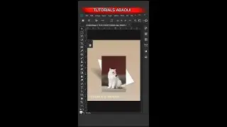 How to Create Paper Mockup in photoshop 