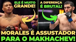 MORALES &Eacute; UMA GRANDE AMEA&Ccedil;A PARA O ISLAM MAKHACHEV?! A DIFEREN&Ccedil;A &Eacute; ASSUSTADORA!