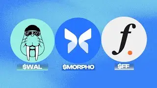 WALRUS ($WAL) I MORPHO ($MORPHO) I FALCON FINANCE ($FF) I COIN REVIEW I FUNDAMENTAL - TECHNICAL A...
