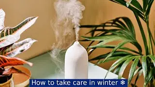 தமிழில் - Awareness for winter skincare and health care | winter essential&nbsp;and&nbsp;prevention|safty tips