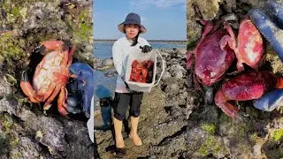 Сегодня поймал много крабов 🐳 Крабовый хлеб #краб #рыбалка #ловля #охота