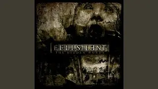 Erase/Begin