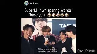 nct vines because misfit line is the best hiphop line