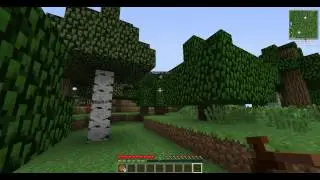 Minecraft Ca:10 Con MODs (lee la descripcion)