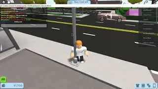 rocitizens codes may 2020 secret ones too
