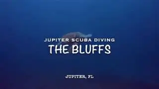 Jupiter Scuba Diving - BLUFFS