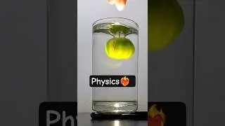 Why Did the Lemon Start Floating? 🍋 Amazing Density Experiment! #shorts #science