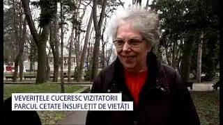 Parcul Cetate Deva &icirc;nsuflețit de vietăți - Stiri Antena Vest -