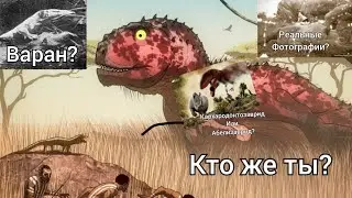 Касаи Рекс - правда или вымысел?