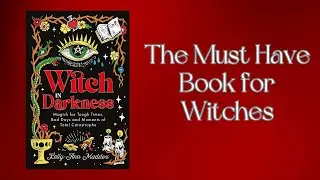 Witch In Darkness by  @kelly-annmaddox 📚Book Review📚