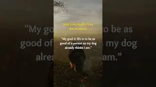 Are Dogs Right? A Different View on Humans