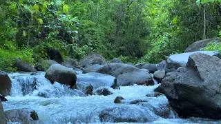 Relaxing River Sounds: Beautiful Nature Water Sounds for Deep Sleep and Meditation | ASMR Music