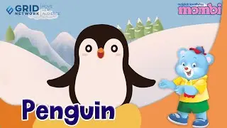 Belajar dan Mengenal Hewan Penguin