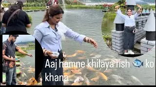 Aaj fish 🐟ko hamne khana khlaya 🥰#youtube #familyvlog #familytime #familyvlogs #vlogs 