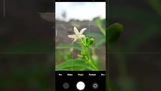 macro photography with mobile| flower photography|#shorts #photography