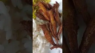 #uchayoonu #trendingvideos
