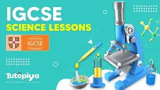 IGCSE Biology  Past Paper Discussion with an Overview of Gas exchange in humans