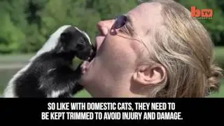 The Most Unusual Pets People Actually Own