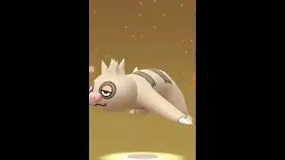 10 Km Egg!! #2