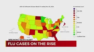 Flu cases on the rise