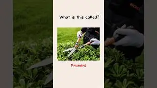 Gardening vocabulary in english #englishlearning #learnenglish #improveenglish #esllearners #english