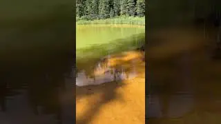 Hiking to the Ink Pots | Hidden Gem in Kootenay National Park 🇨🇦