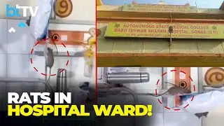 Rats Roam Around Hospital Ward In UP&rsquo;s Gonda | Viral Video Exposes Shocking Hygiene Failure