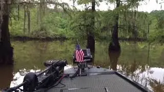 Mudfish Adventures 4 Minute Boat Ride