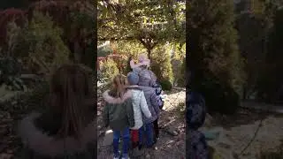 Уроки механики в Altschool Системы блоков 1