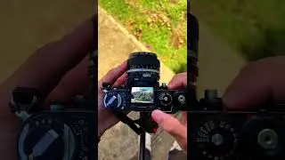 Shooting the Nikon F3 with a Waist-Level Viewfinder
