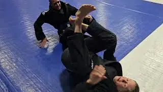 Chopstick Sweep - BJJ Technique Demonstration 