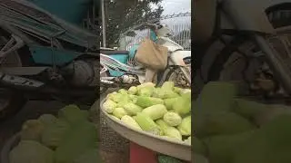 Corn Harvest for Sale at the Local Market | Rural Life & Farm to Table Journey