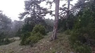TEYYAREM TÜRKÜSÜ'NÜN Öyküsü