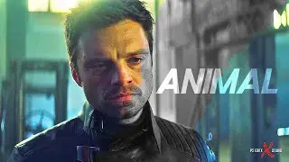 Bucky Barnes | ANIMAL