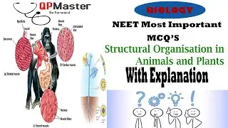 Structural Organisation In Plants and Animals MCQ| Most Important MCQ's 2021