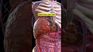7 Foods Good for Liver Repair