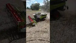 CLAAS LEXION 8700TT beim Raps dreschen