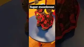 Build a Bear Moonbreon! 🤯🤩 #pokemon #pok&eacute;mon #buildabear #umbreon #moonbreon #evolvingskies #tcg