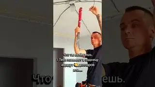 Выбор Очевиден 🤭🍋 #memes #humor