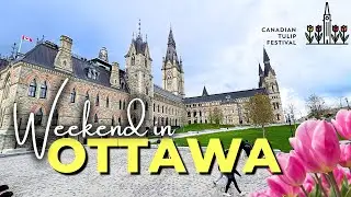 Exploring Ottawa: Politics & Tulip Festival Magic in 4K!