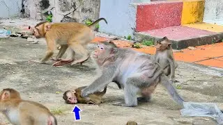 Oh God....Little Monkey JESSICA Got Beaten Pitifully / Jessica Running And Crying To Mommy