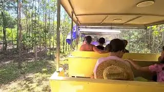 Australia Day at Cobb and Co Nine Mile Camping Grounds