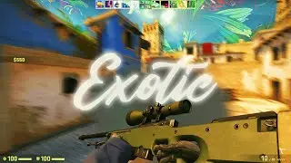 EXOTIC