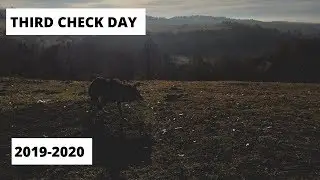 Coyote Trapping: Check Day 3 2019-2020
