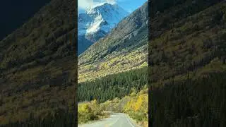 #fall #autumn #canada #yukon #shorts #nature #naturebeauty